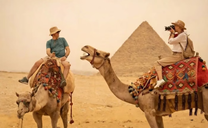 Grand Egyptian Museum and Pyramids Day Tour