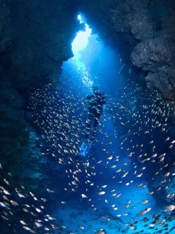 4 Day Dahab and Saint Catherine Trip