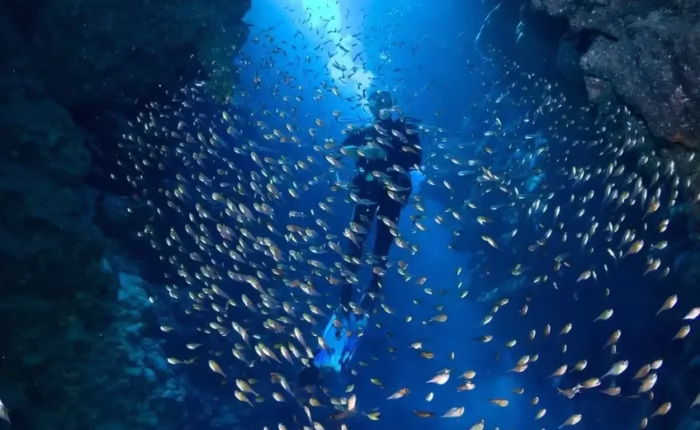 4 Day Dahab and Saint Catherine Trip