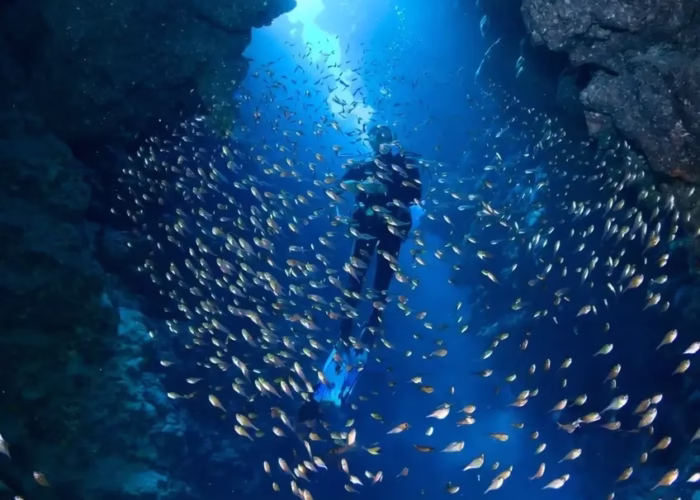 4 Day Dahab and Saint Catherine Trip