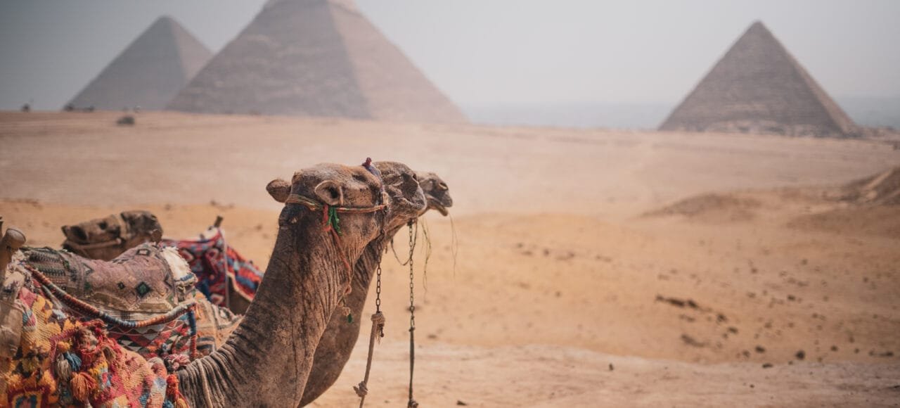 Cairo day tour to the Pyramids and Grand Egyptian Museum