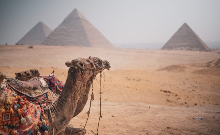 Cairo day tour to the Pyramids and Grand Egyptian Museum