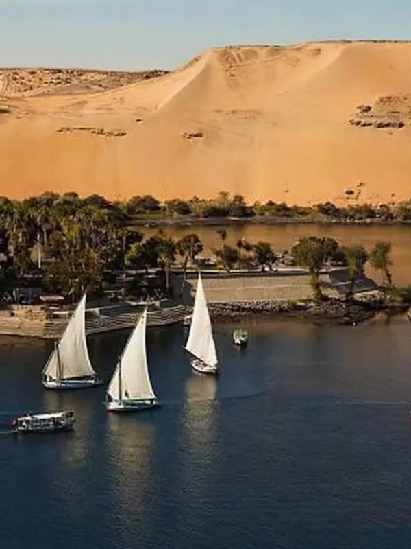 Aswan felucca ride to Botanical Gardens