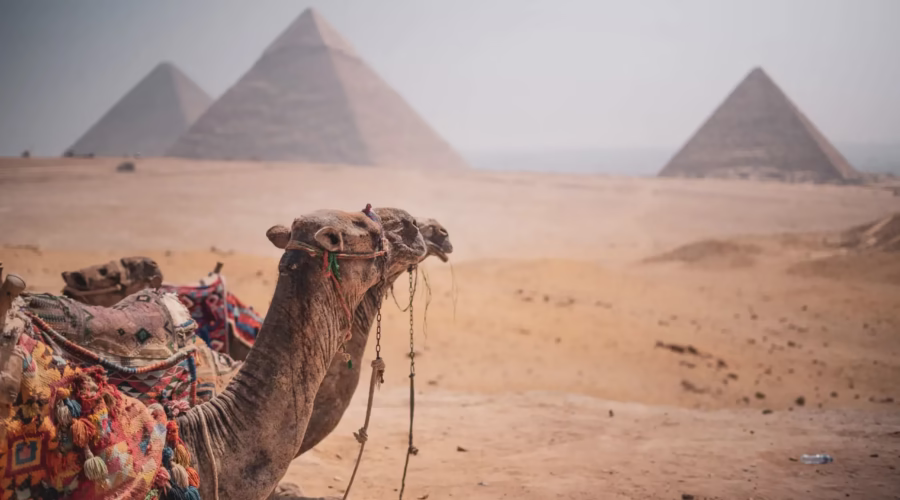 Cairo day tour to the Pyramids and Grand Egyptian Museum