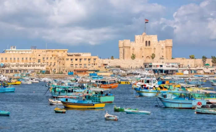 Alexandria Day Tour from Cairo